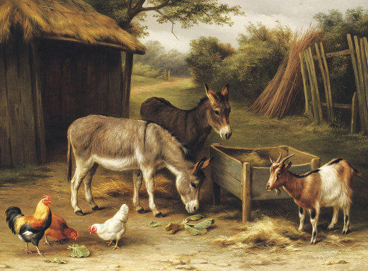 629707 (a): :1600x1181